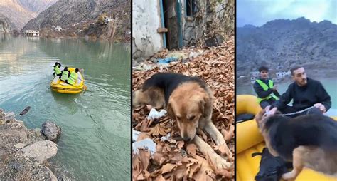 M­a­h­s­u­r­ ­k­a­l­a­n­ ­1­0­ ­k­ö­p­e­k­ ­b­o­t­l­a­ ­k­u­r­t­a­r­ı­l­d­ı­ ­-­ ­S­o­n­ ­D­a­k­i­k­a­ ­H­a­b­e­r­l­e­r­